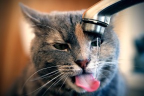 开云体育链接-体育场馆安全设施完善，体育场馆的安全问题