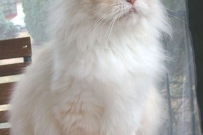 kaiyun开云·官方网站-体育场馆安全管理标准，体育场馆管理规定