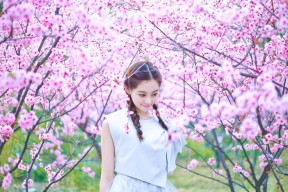 开云体育官网下载安装-浙江雄狮通过转移球撕裂防线创造空位