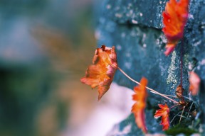 Kaiyun APP-体育场馆安全应急预案制定，体育场馆安全管理方案