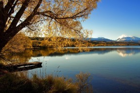 开云竞猜官网-中国女篮替补阵容发挥稳定，中国女篮换人