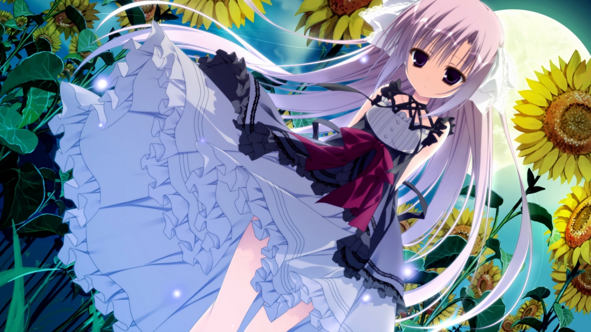 Chinese Taipei乒乓球队战术全揭秘：技术与心理双重对抗，台北乒乓队