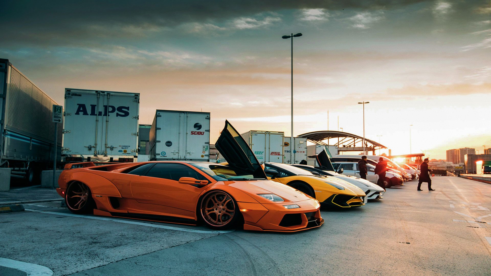 辽宁飞豹擅长控制节奏成为比赛节拍掌控者,辽宁飞豹阵容